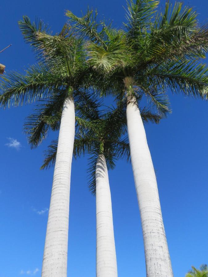 Casa Sur Villa Playa del Inglés Eksteriør billede